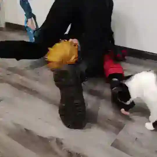 нерд алерт