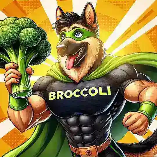 $BROC | BNB MEMECOIN 🥦🥦🥦
