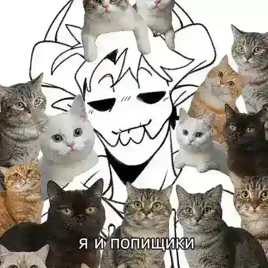 катзик 🍔