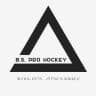 b.s_pro_hockey