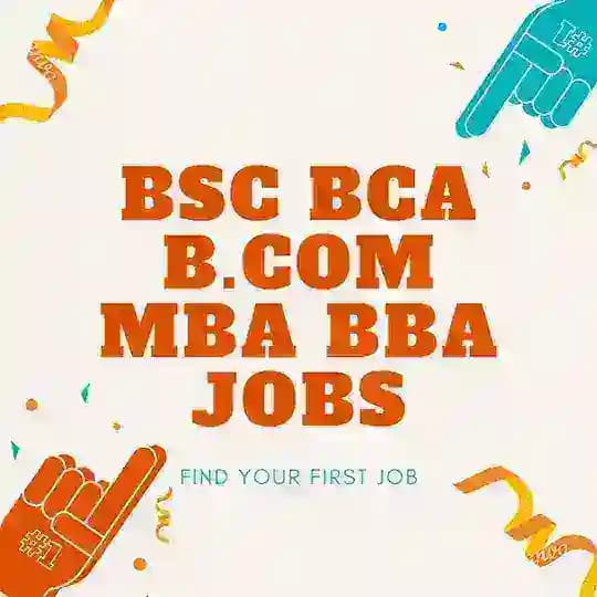 BSC BCA BCom MBA BBA Jobs