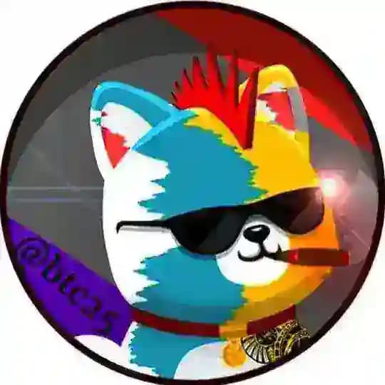 Ambassador BTC25