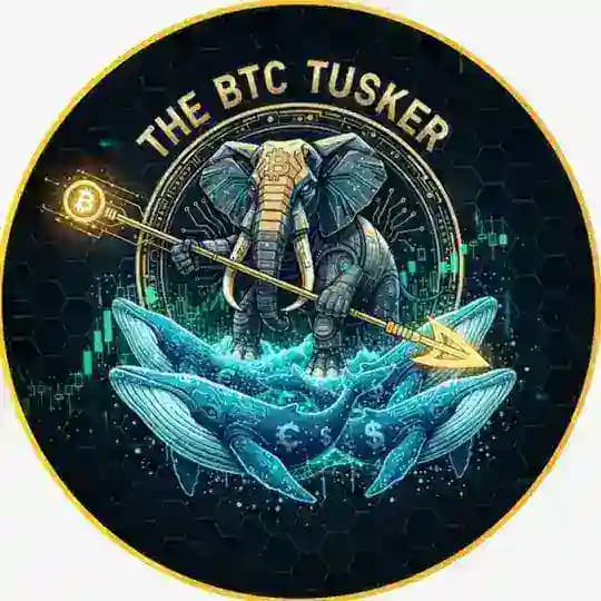 GTI-BTC Whale Hunter's