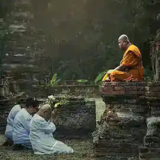 Buddha Dharma books
