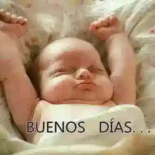 Grupo de buenos días Profile