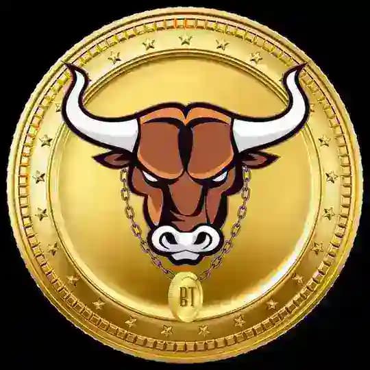 Bull Network💸