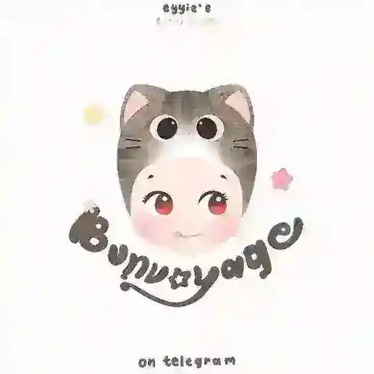 ℬ ‧₊ 𓇼