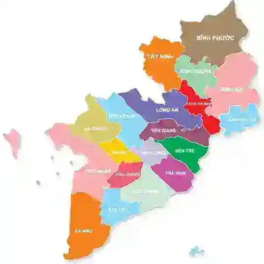 Hàng tuyển Miền Nam Profile