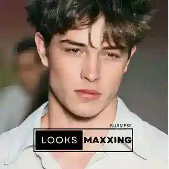 Burmese Looksmaxxing