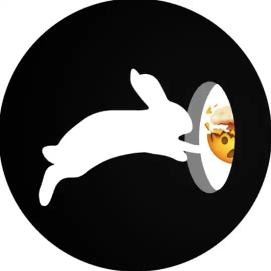 Burrow App Updates