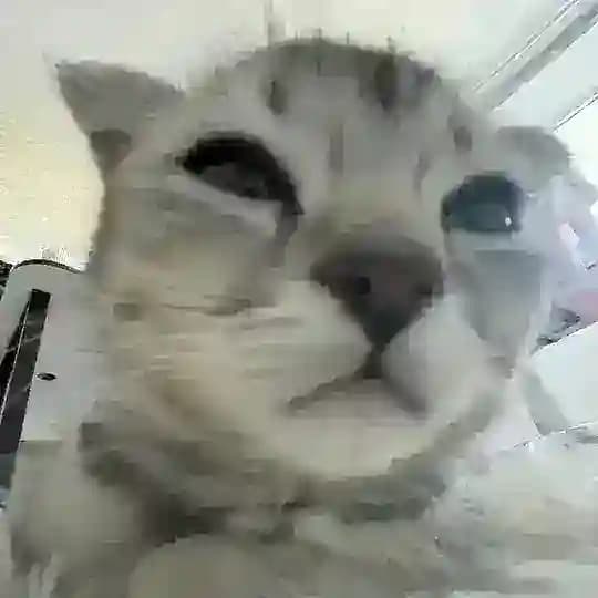 Буш