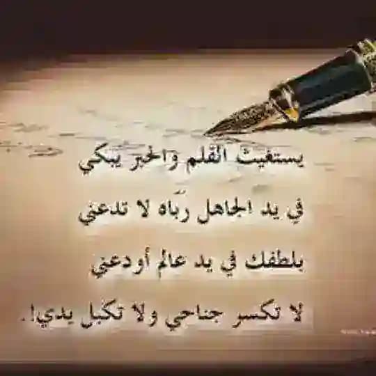 مقَۆلُآتٌ