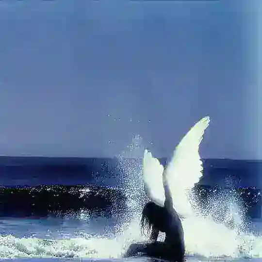 𝐁𝐔𝐓𝐓𝐄𝐑𝐅𝐋𝐘