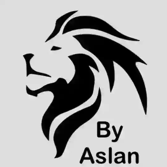 By ASLAN İTHAL ÇANTA