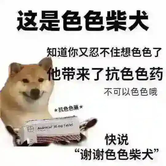 800神教报告
