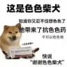 800神教报告