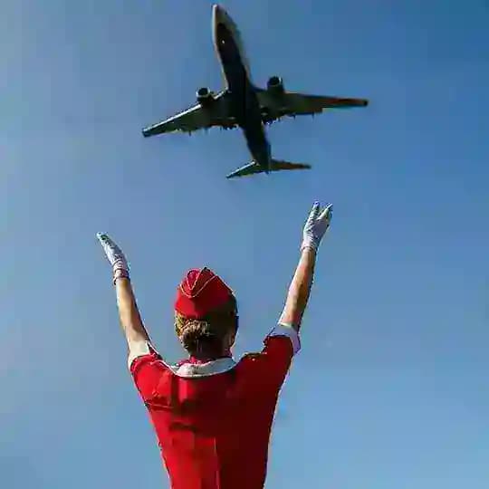 Cabin Crew