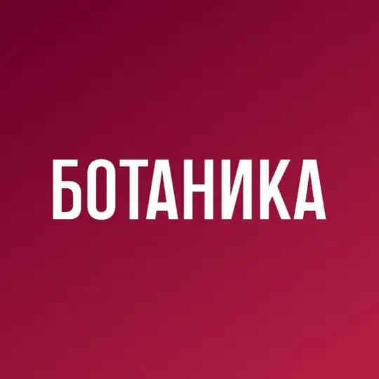 Ботаника