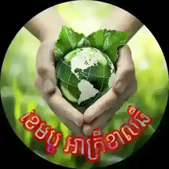 Cambo Agriculture Profile