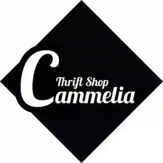 Cammelia-Thriftshop