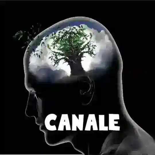Libera Coscienza Canale Profile