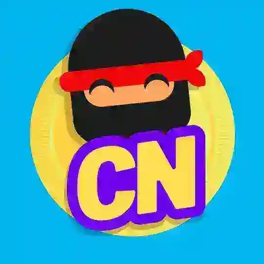 Canal Ninja