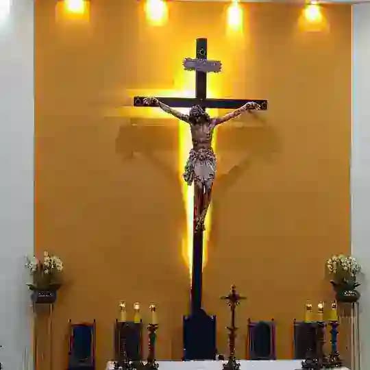 Músicas Católicas Profile