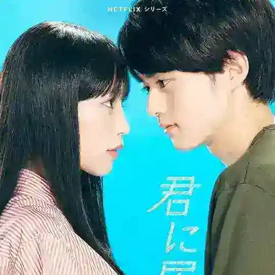 From Me To You JP Series