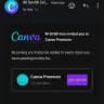 Daily Canva Links