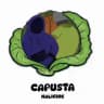 capusta.nalichie