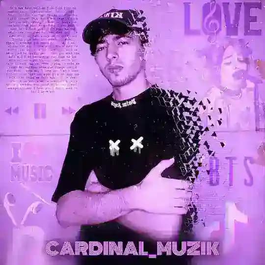 CARDINAL • MUZIK 🐊