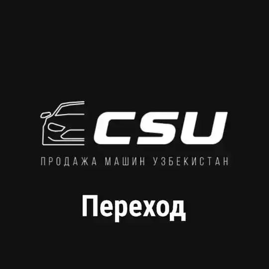 CARSELLING | Переходник Profile