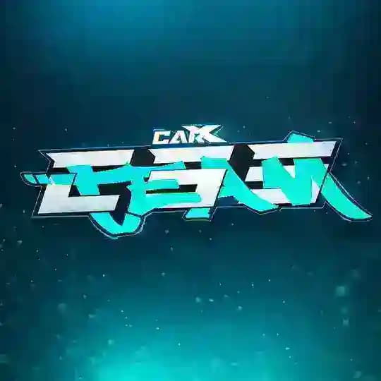 CSS • TEAM