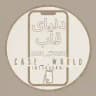 Case_.World | دنیای قاب