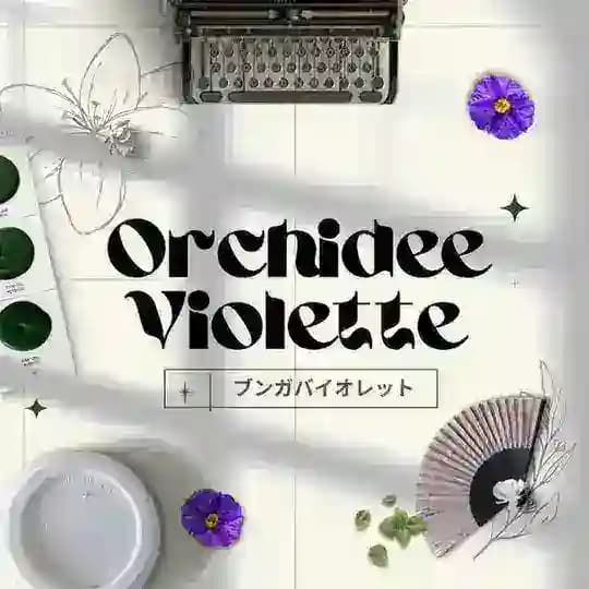 πππππππππ ππππππππ