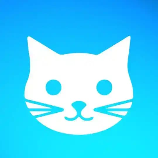 Котизмъ