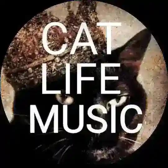 Cat_life_music_сhanel🎧