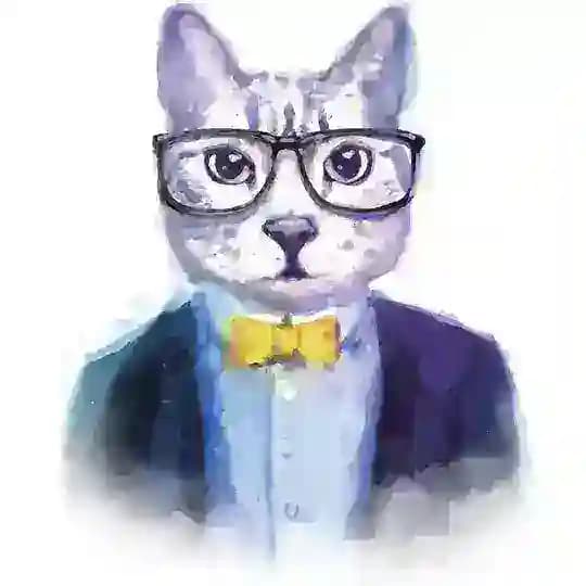 猫总—秘密金融频道