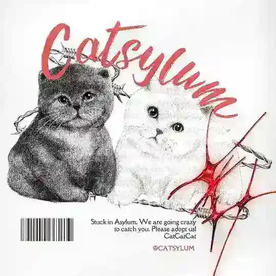CATSYLUM 🐈‍⬛