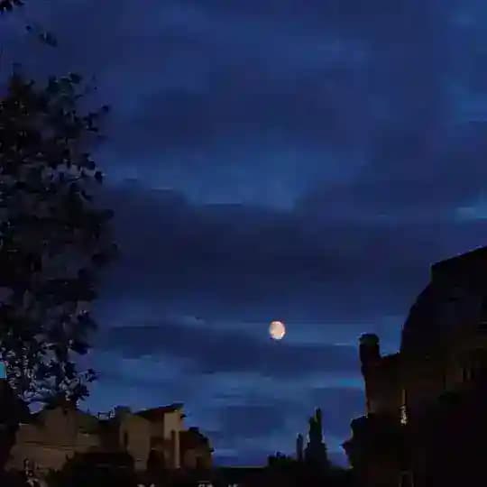 𝘮𝘰𝘰𝘥