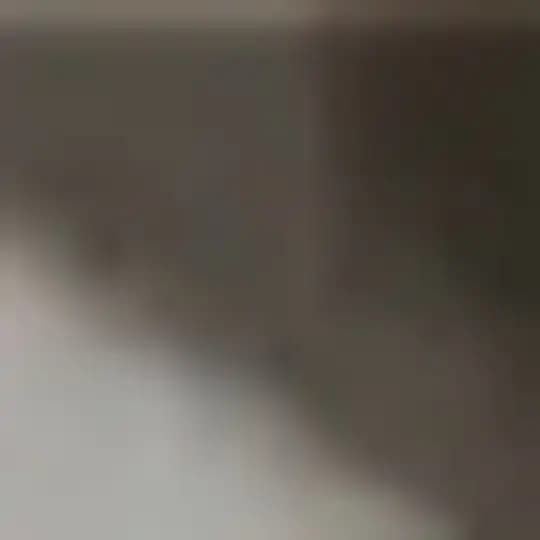 nev