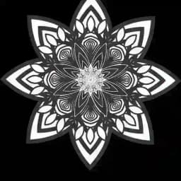 💛🌿💜Ganzheitliche Wege für Körper, Geist und Seele! Die Wunder der Natur kennen und lieben lernen💜🌿💛 Profile