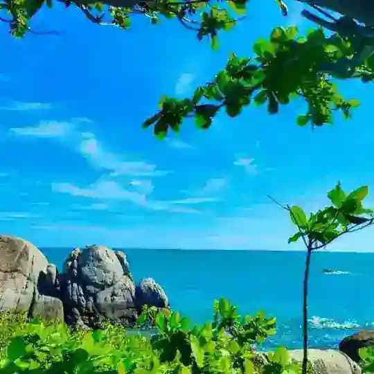 海南学院 海口三亚公开榜