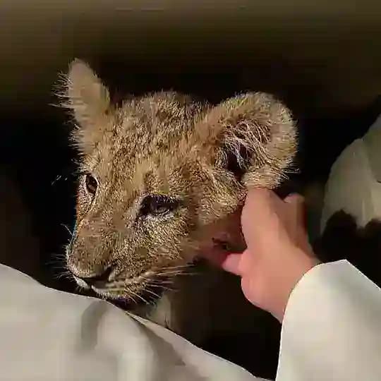 تعاملات تركي🇸🇦