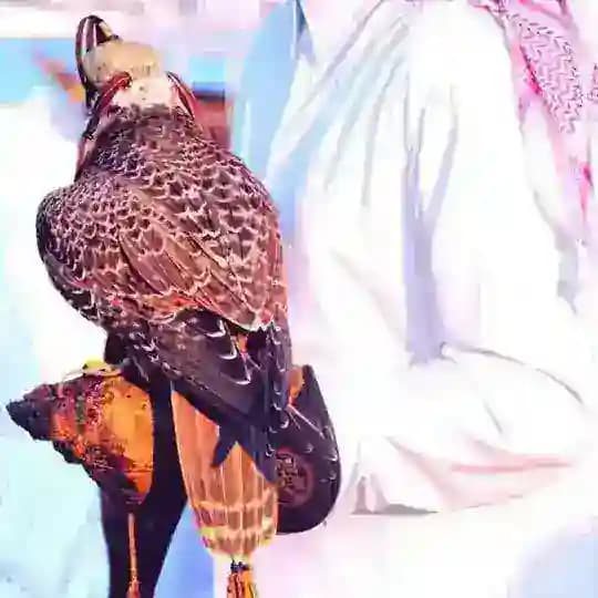 شـيـلاتــ Mp3 ♪