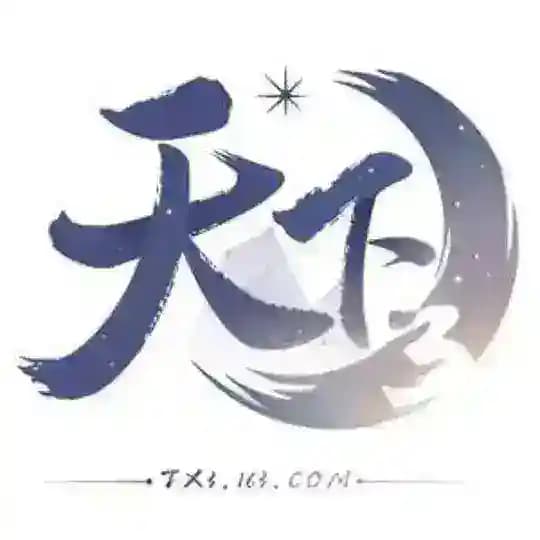 T X天下集团