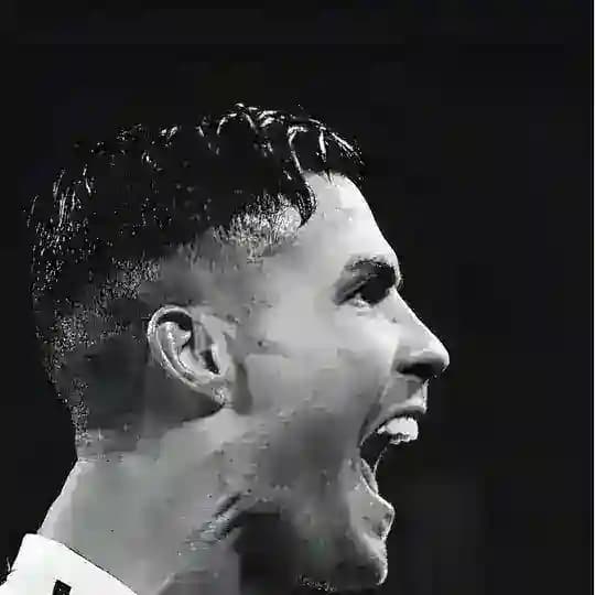 🔥一手协议赌球集团，新进来多看看所有置顶，专业杀狗庄🔥 Profile