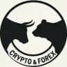CRYPTO & FOREX 📈