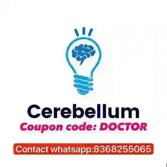 Cerebellum Academy