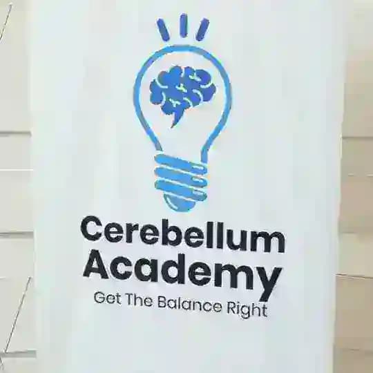 Cerebellum Academy Notes